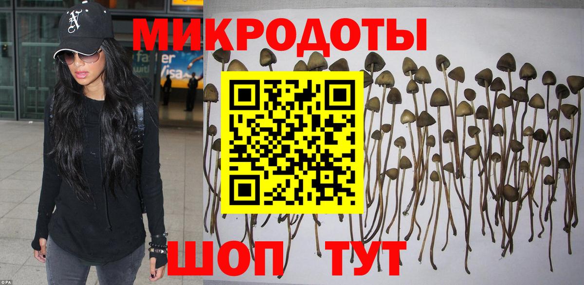 Псилоцибиновые грибы ЛСД Нальчик