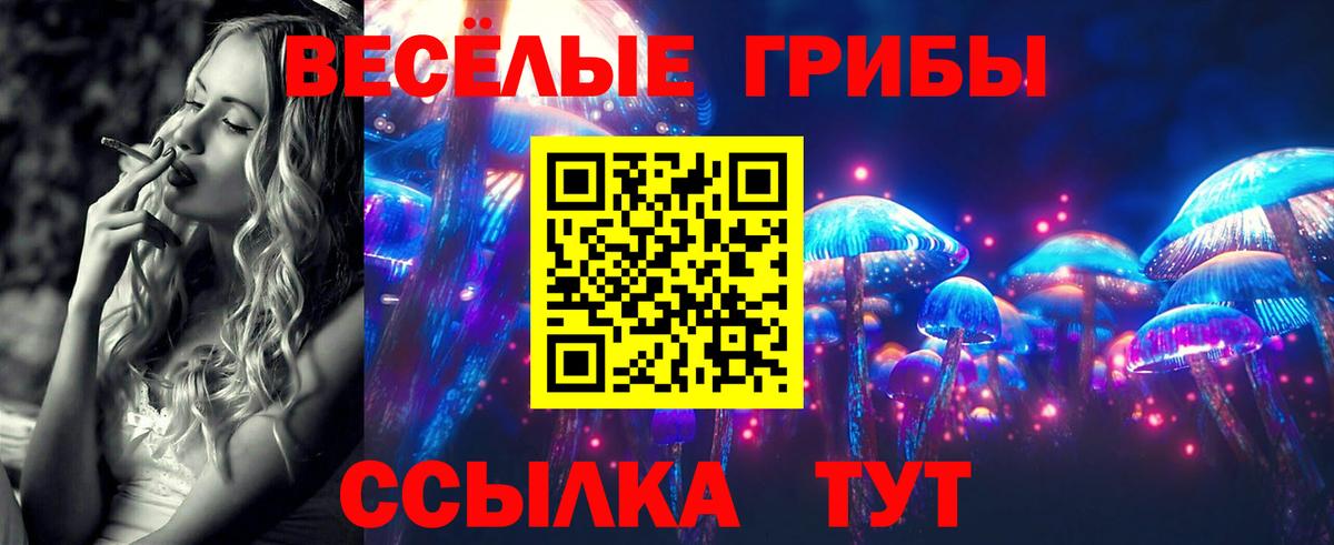 Псилоцибиновые грибы Cubensis  купить наркоту  Нальчик  Вход с VPN 